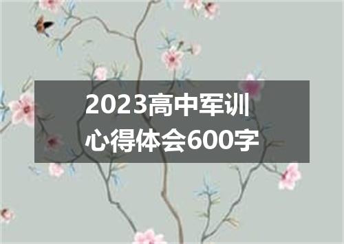 2023高中军训心得体会600字