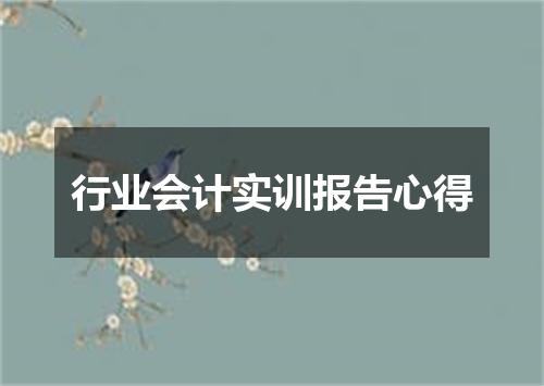 行业会计实训报告心得
