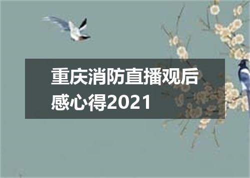 重庆消防直播观后感心得2021