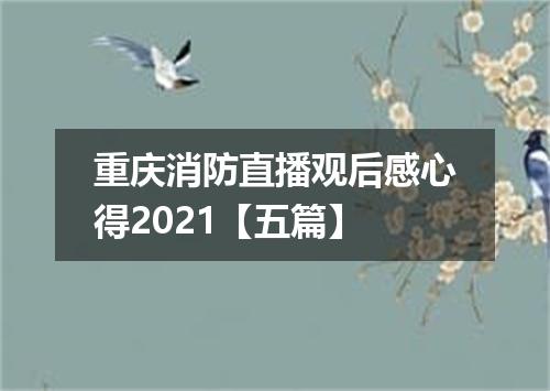 重庆消防直播观后感心得2021【五篇】