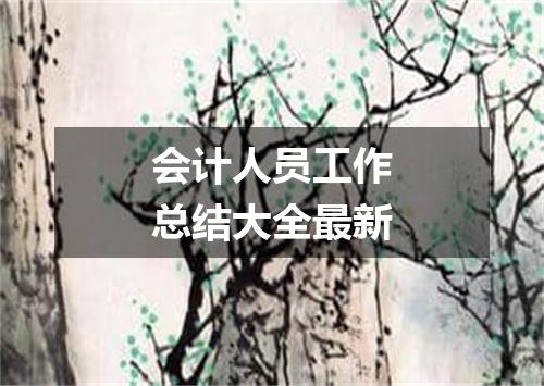 会计人员工作总结大全最新