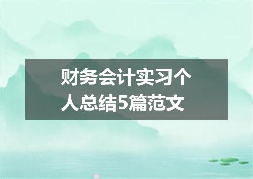 财务会计实习个人总结5篇范文