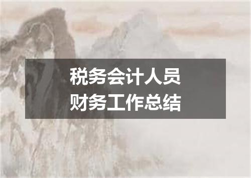 税务会计人员财务工作总结