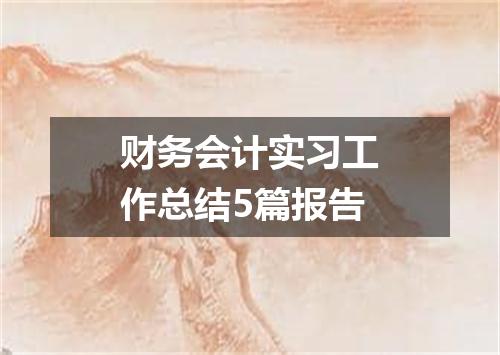 财务会计实习工作总结5篇报告