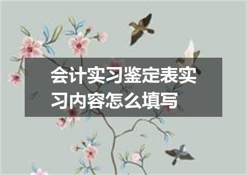 会计实习鉴定表实习内容怎么填写