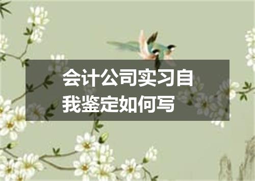会计公司实习自我鉴定如何写