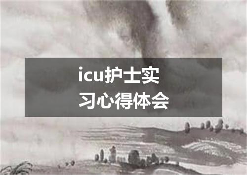 icu护士实习心得体会