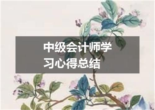 中级会计师学习心得总结