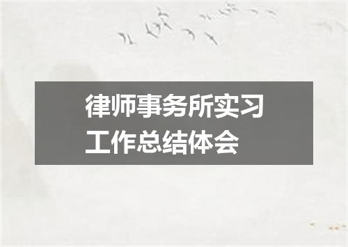 律师事务所实习工作总结体会