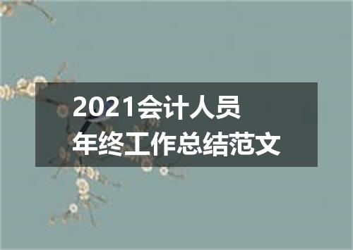 2021会计人员年终工作总结范文