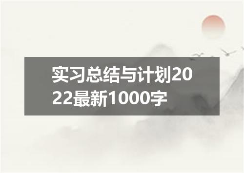 实习总结与计划2022最新1000字