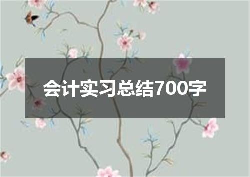 会计实习总结700字