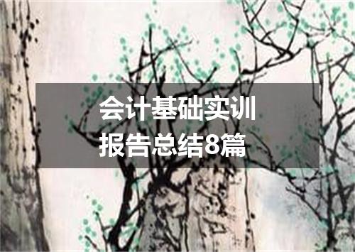 会计基础实训报告总结8篇