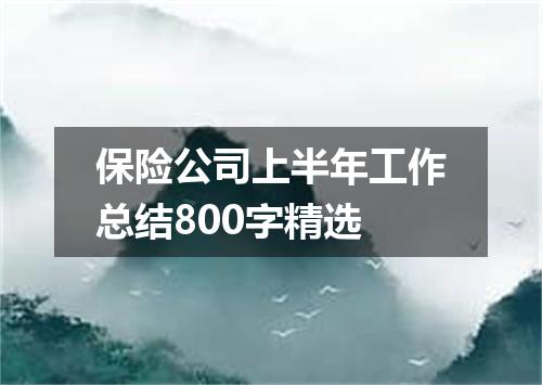 保险公司上半年工作总结800字精选