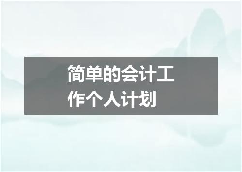 简单的会计工作个人计划