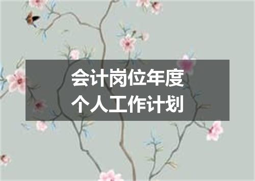 会计岗位年度个人工作计划