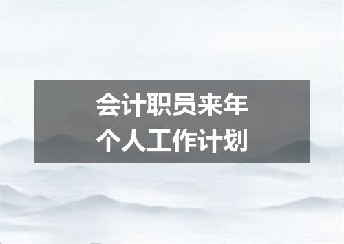 会计职员来年个人工作计划