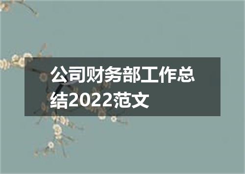 公司财务部工作总结2022范文