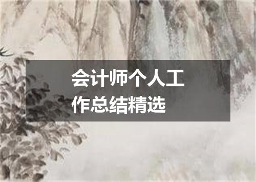 会计师个人工作总结精选