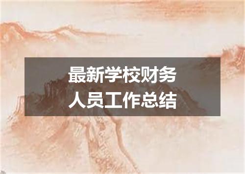 最新学校财务人员工作总结