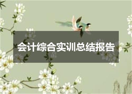 会计综合实训总结报告
