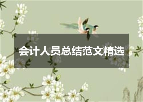 会计人员总结范文精选