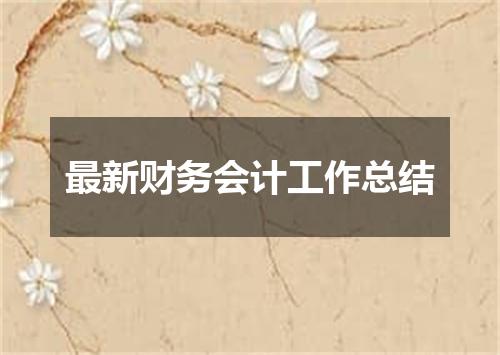 最新财务会计工作总结