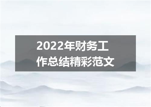 2022年财务工作总结精彩范文