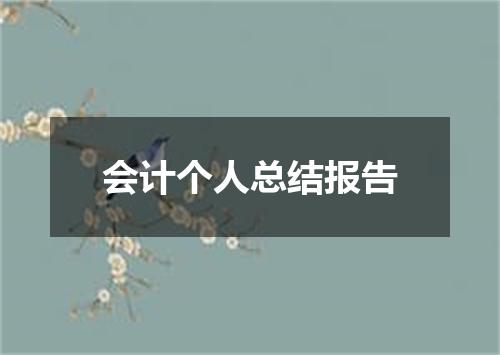 会计个人总结报告