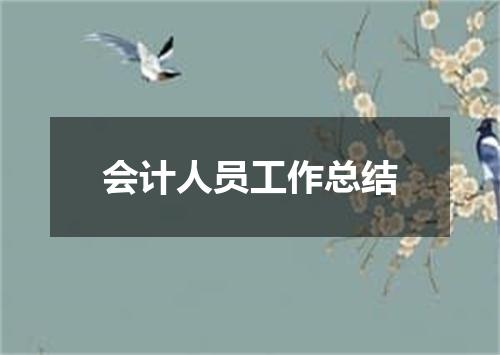会计人员工作总结