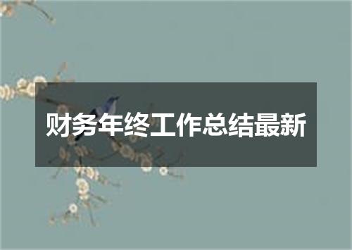 财务年终工作总结最新