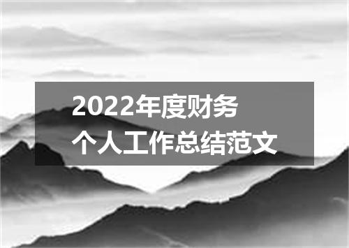 2022年度财务个人工作总结范文