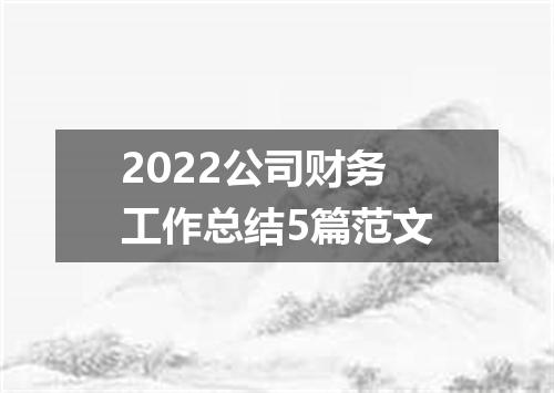 2022公司财务工作总结5篇范文