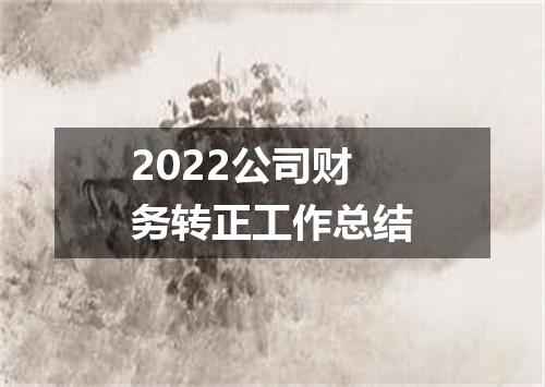 2022公司财务转正工作总结