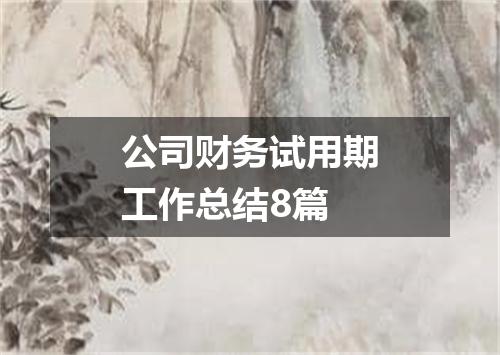 公司财务试用期工作总结8篇