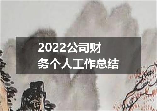 2022公司财务个人工作总结