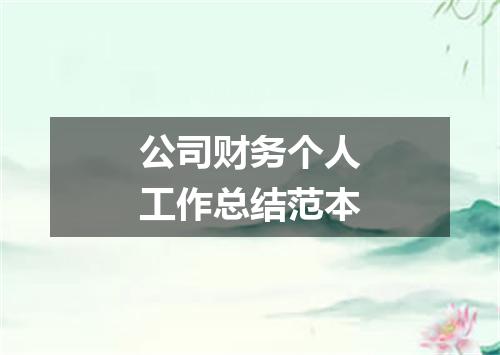 公司财务个人工作总结范本