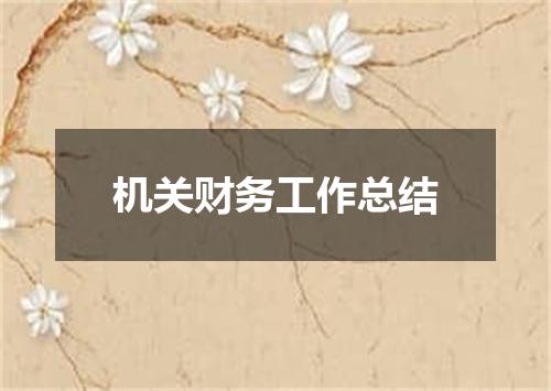 机关财务工作总结