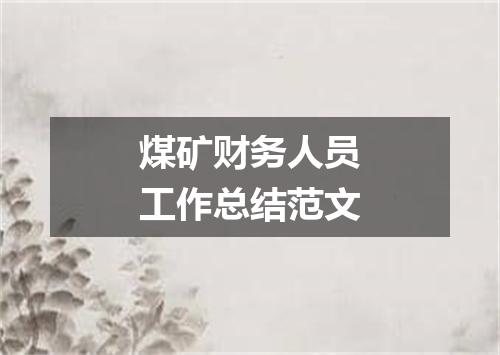 煤矿财务人员工作总结范文