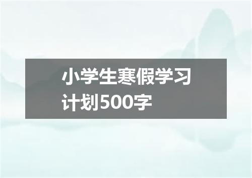 小学生寒假学习计划500字