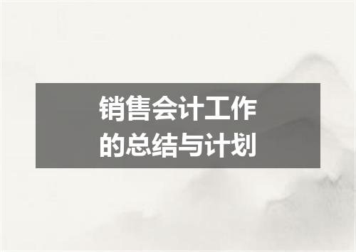 销售会计工作的总结与计划