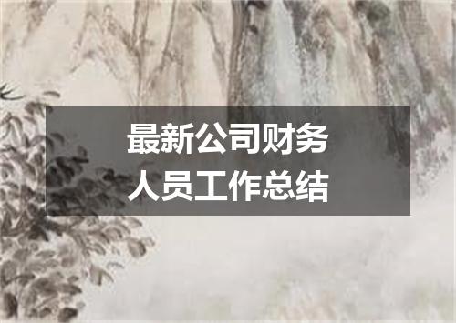 最新公司财务人员工作总结