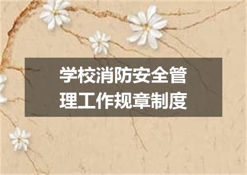 学校消防安全管理工作规章制度