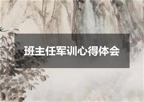 班主任军训心得体会