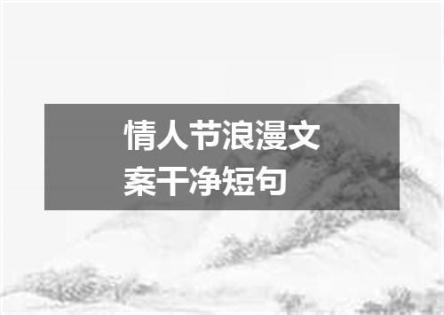 情人节浪漫文案干净短句