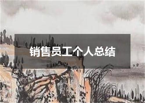 销售员工个人总结