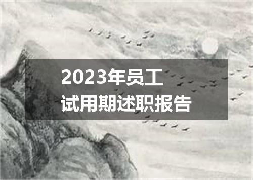 2023年员工试用期述职报告