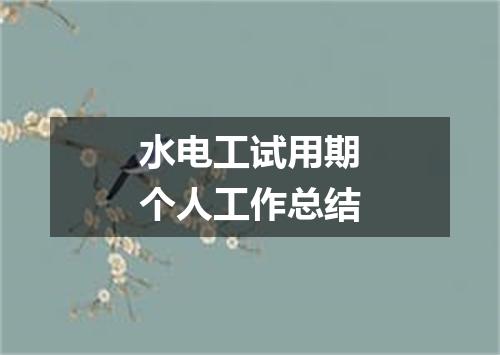 水电工试用期个人工作总结