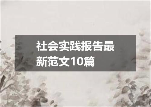 社会实践报告最新范文10篇