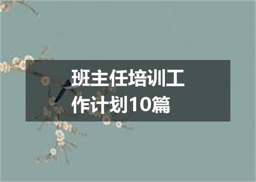 班主任培训工作计划10篇